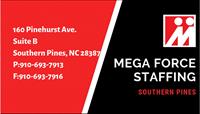 The Mega Force Staffing Group, Inc.