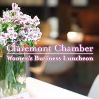 Chamber Womens Business Luncheon