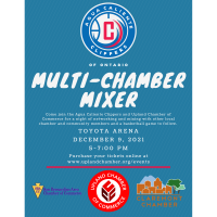 Agua Caliente Clippers of Ontario Multi-Chamber Mixer