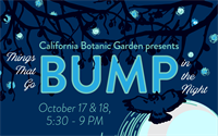 Things That Go Bump in the Night - Friday 2025