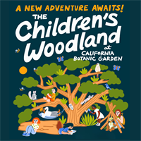 Children's Woodland Grand Opening