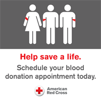 SCIL's Red Cross Blood Drive