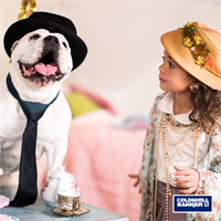 Pet Adoption Event Hosted by Coldwell Banker Town & Country with Lazo and Associates