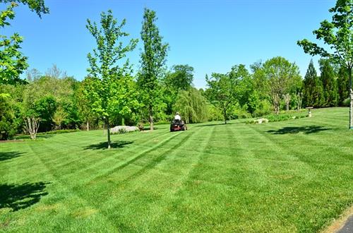 Gallery Image lawn-care-diazlawncare_weebly.jpg