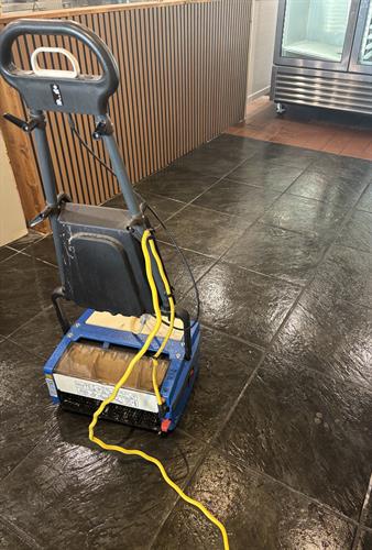 Gallery Image busy-d-commerical-cleaning-2025-businesses-73.jpg