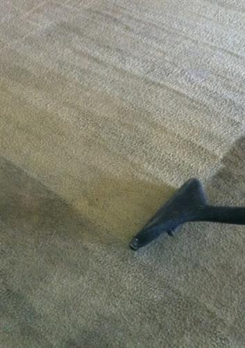 Another successful carpet cleaning