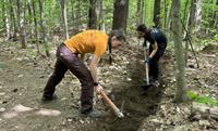 Volunteer: Trail Work Day on Wentworth Trail