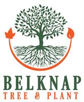 Belknap Tree and Plant
