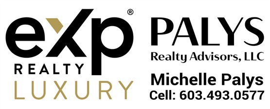 Michelle Palys - Palys Realty Advisors, LLC at eXp