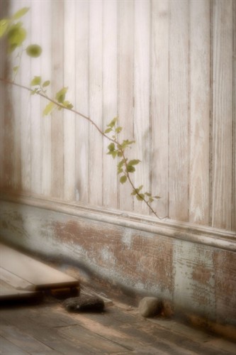 Debra Dawson, "Within The Walls," Archival pigment print on washi paper	