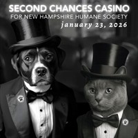 Second Chances Casino Night