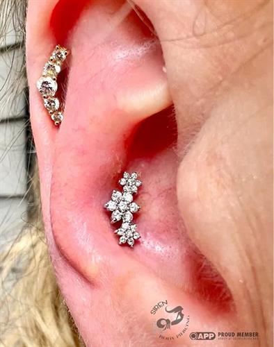 Conch & Helix piercings