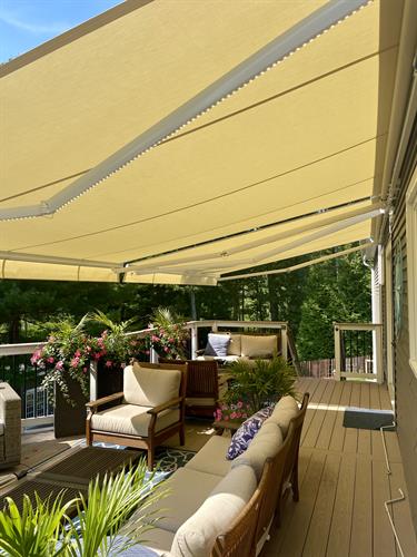 Gallery Image IMG_2316.jpeg