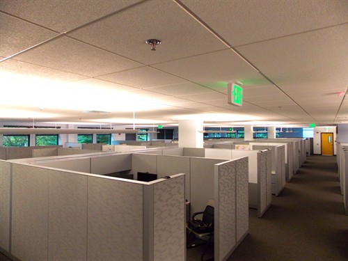 Gallery Image CDNA_2.JPG