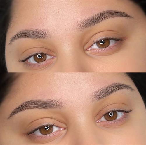 Ombre Powder Brows | Healed after 1 session