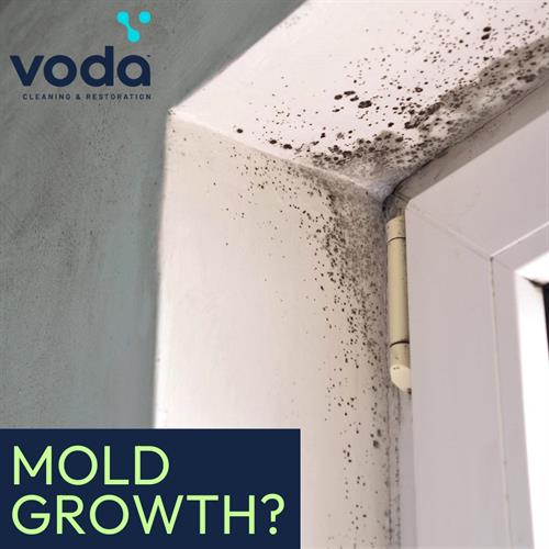 Gallery Image Mold_remediation.jpg