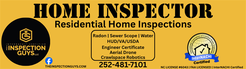 The Inspection Guys LLC