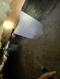 Gallery Image crawl2.jpg