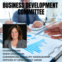 Business Development Committee
