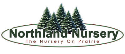 Christmas on Prairie at Northland Nursery