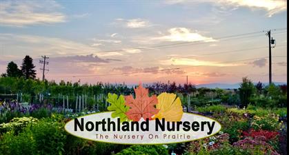 Northland Nursery