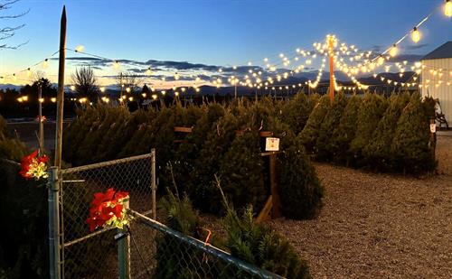 Gallery Image 591740392_1404568418347173_8697620106225414401_n.jpg