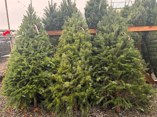 Gallery Image Photo_Nov_27_2025._11_28_06_AM.jpg