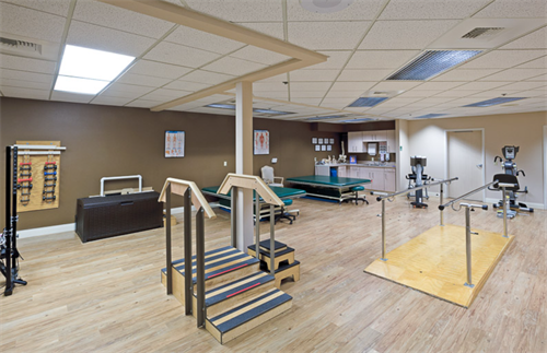 Physical Therapy Gym Physical Therapy Gym