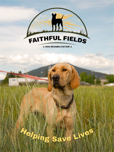 Gallery Image Faithful_Fields_cover_dog.png