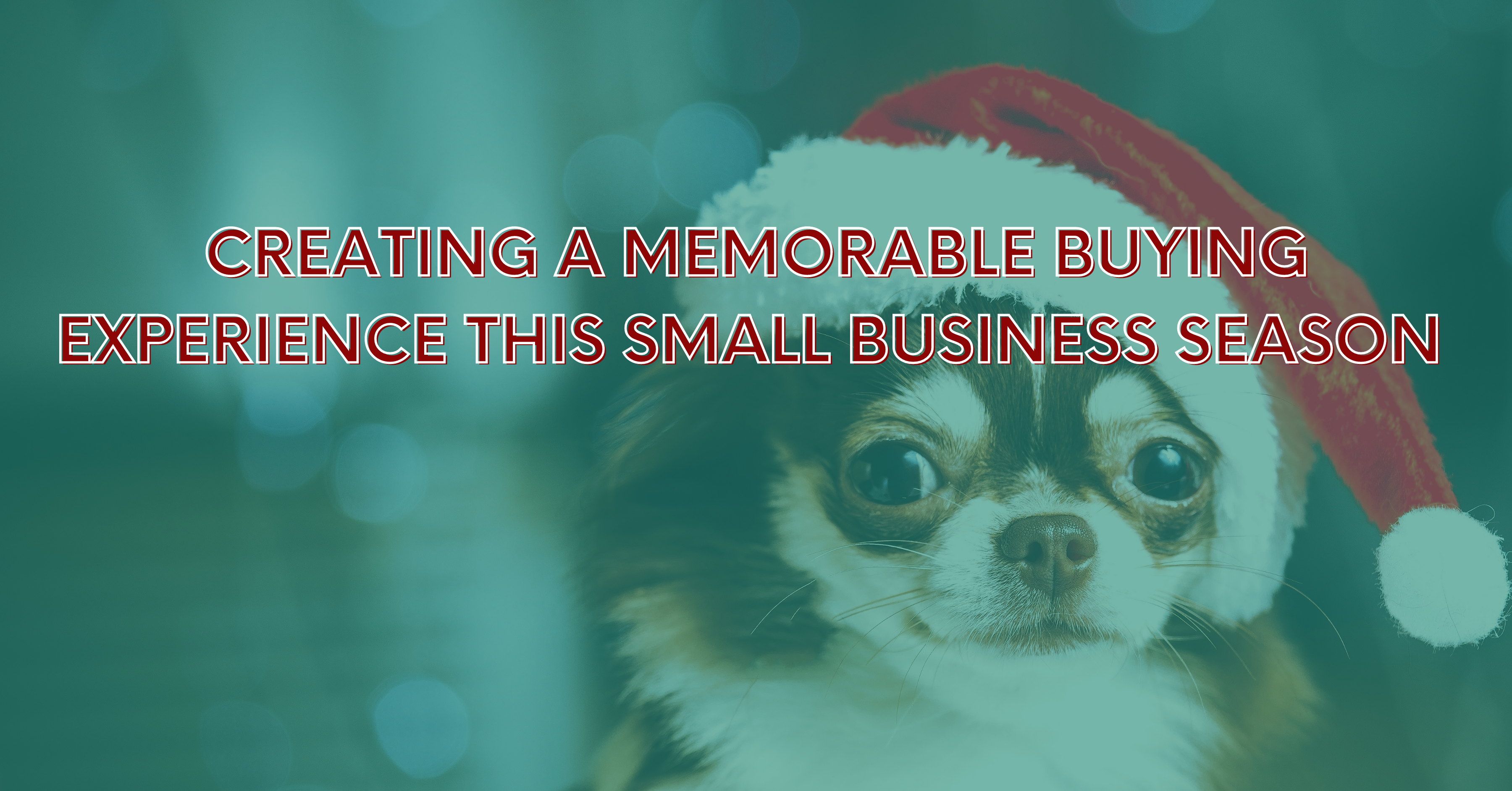 Creating a Memorable Buying Experience This Small Business Season