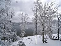 Will O' the Wisp - Oakland