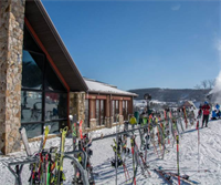 Will O' the Wisp - Oakland