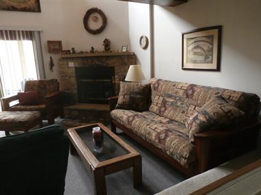 Lower Level Fireplace & Living Area