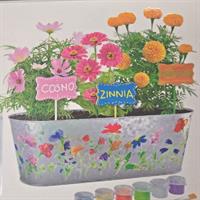The Studio - Paint & Plant - Wildflower Edition