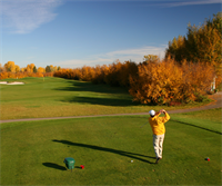 Cove Creek Lodge - Oakland