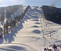 Cove Creek Lodge - Oakland