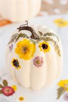 Petals and Pumpkins at Joyful Journeys Wellness