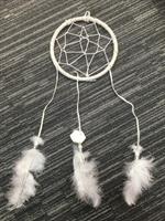 Catch Your Dreams with Joyful Journeys Wellness