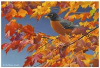 American Wildlife Art Exhibition Opening Reception
