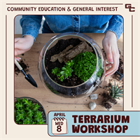 Terrarium Workshop
