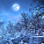 Headlamp (Full Moon) Snowshoeing Tours - Hoot For Owls and Explore the Woods at Night!