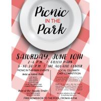 Picnic in the Park 2017