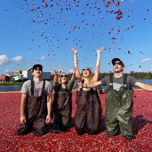Cranberry Harvest Days