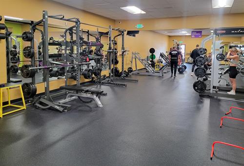 Free Weights Area: Weights, squat racks, bench press 