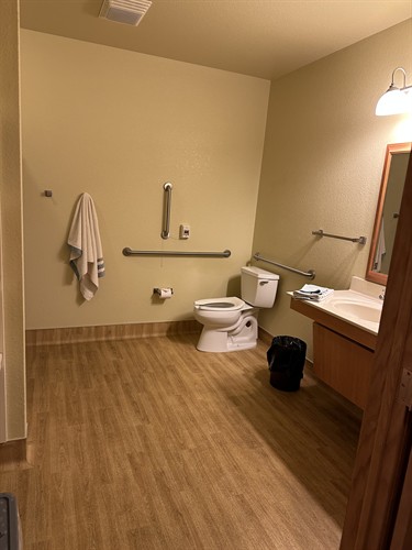 Gallery Image Deluxe_bathroom_part_2.jpg