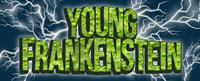 STC Seeking Actors for Young Frankenstein