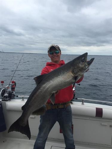 Huge King Salmon