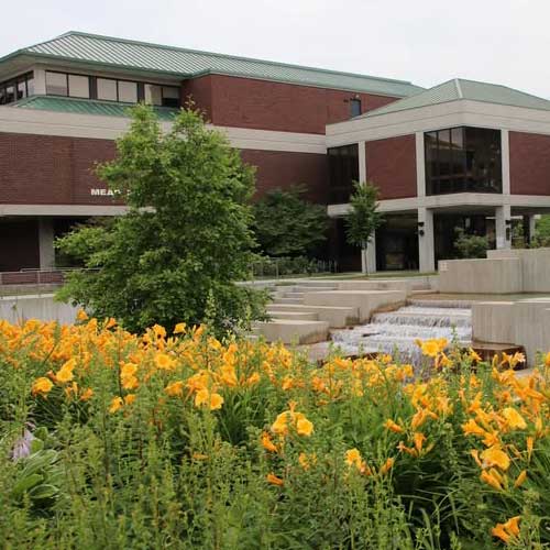 Gallery Image library.jpg Gallery Image library.jpg