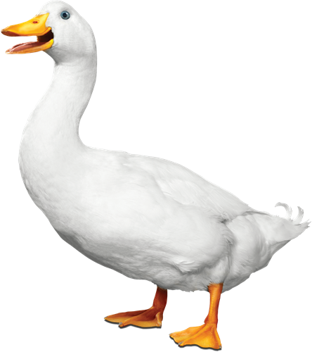 Gallery Image Aflac_Duck_1_png.png