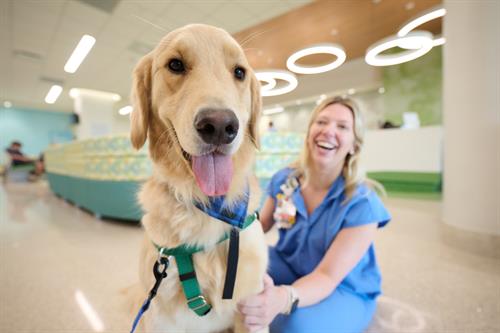 Gallery Image cmcp-dog.jpg